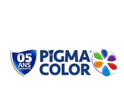 PIGMA COLOR