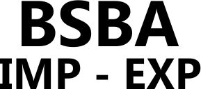 BSBA IMP - EXP EURL